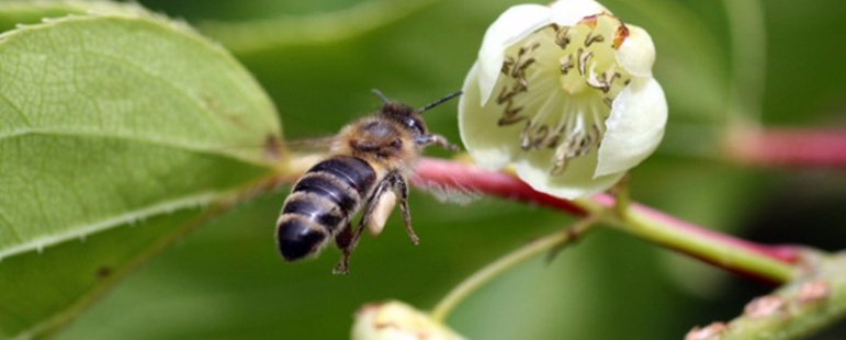 Опрашването като процес.
