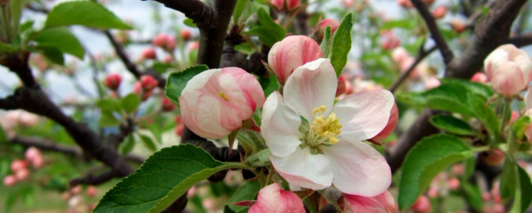 НАРЕДБА ЗА ИЗМЕНЕНИЕ И ДОПЪЛНЕНИЕ НА НАРЕДБА № 7