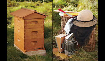 Минимални разходи